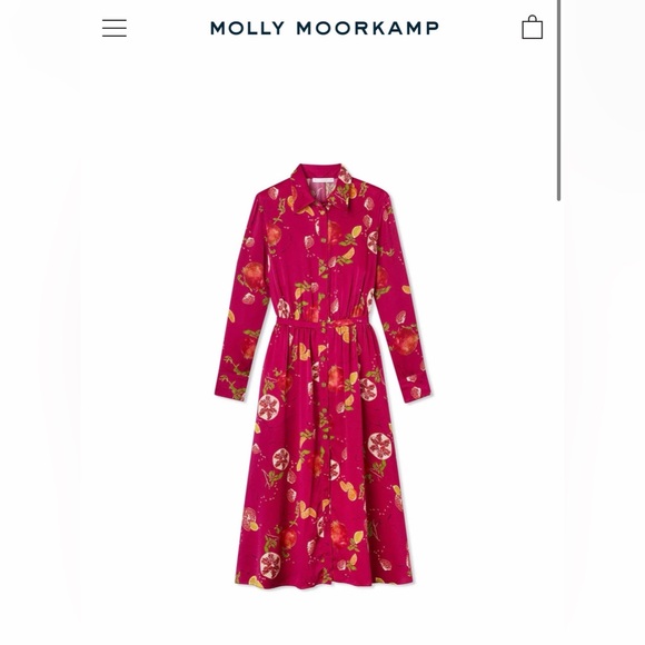 Molly Moorkamp Dresses & Skirts - Molly Moorkamp Janie Dress